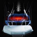 Almofada Massageadora para Cóccix - Pine.D