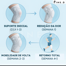 Joelheira Esportiva de Alta Performance - Pine.D ProKnee