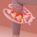 Massageador Corporal de Alta Precisão - Pine.D